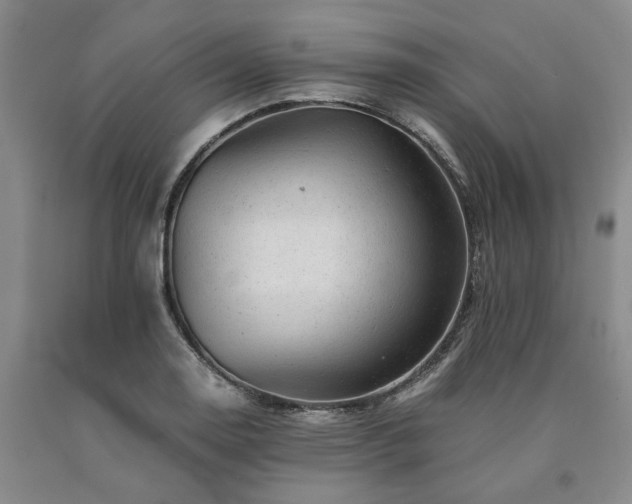 X0000090881130200707271306