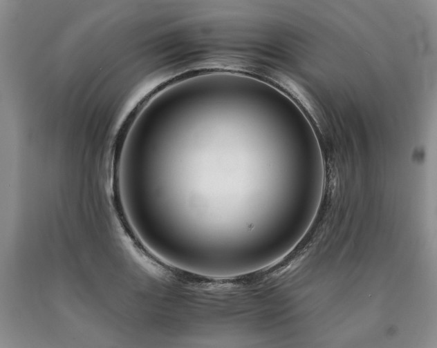 X0000090881131200707271306