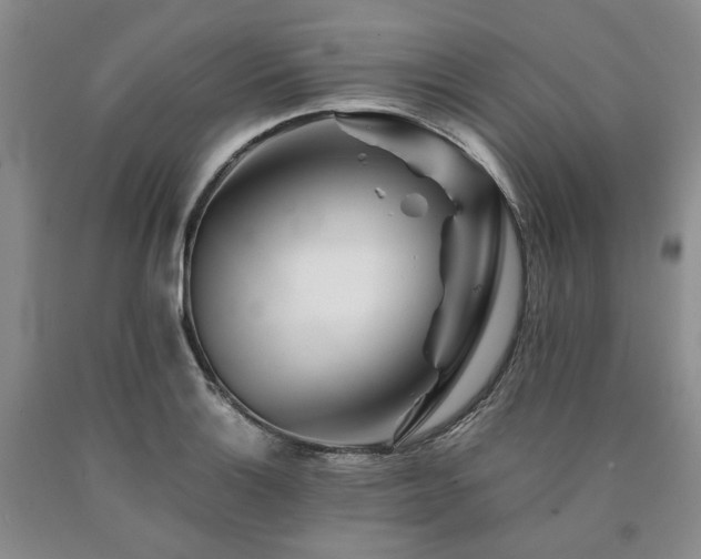 X0000090881132200707271306