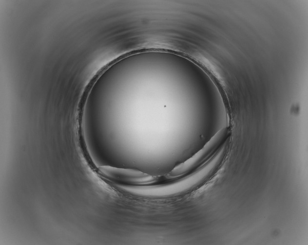 X0000090881133200707271306