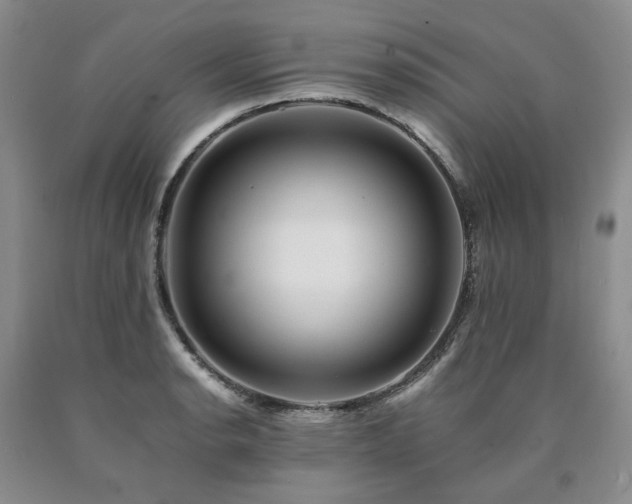 X0000090881134200707271306