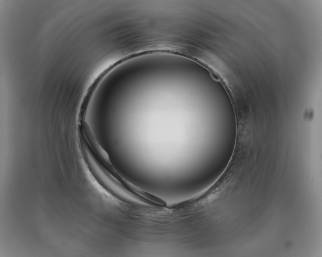 X0000090881135200707271306
