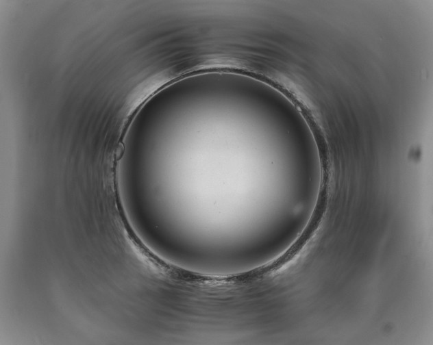 X0000090881137200707271306