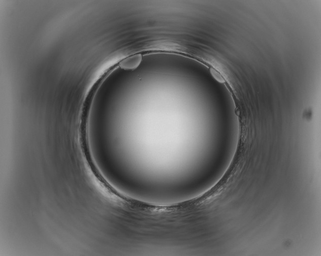 X0000090881139200707271306