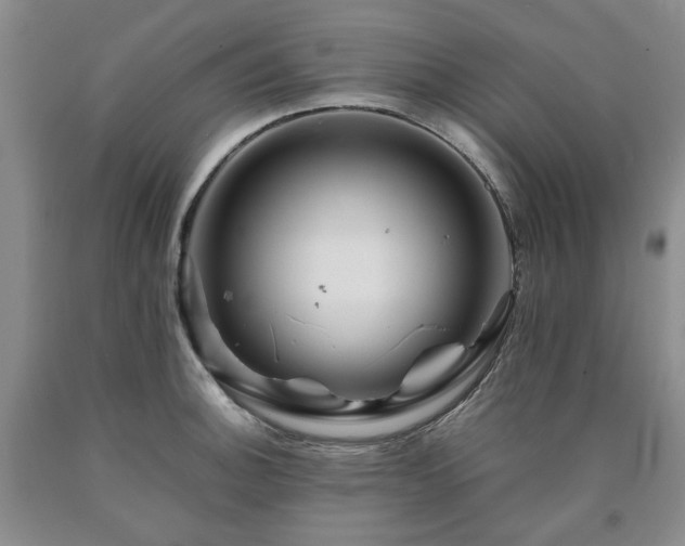 X0000090881140200707271306