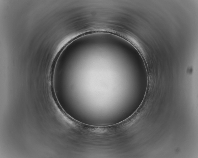 X0000090881141200707271306