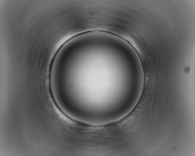 X0000090881143200707271306
