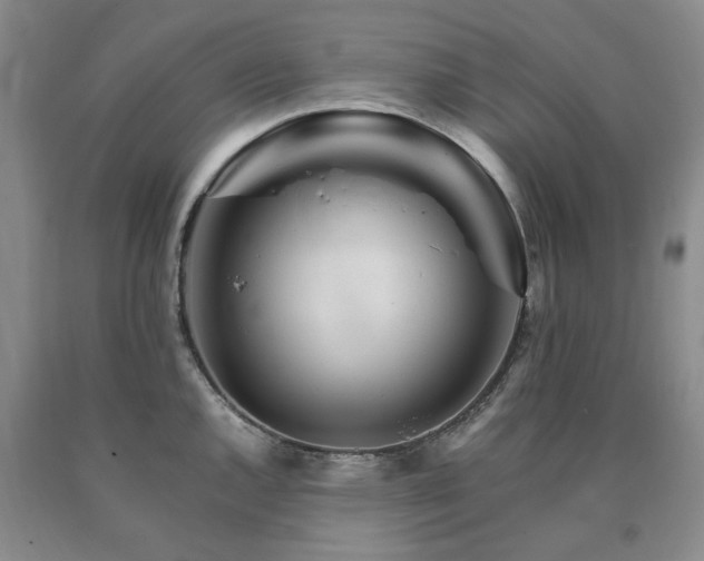 X0000090881144200707271306
