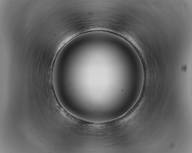X0000090881145200707271306