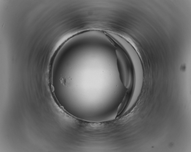 X0000090881147200707271306