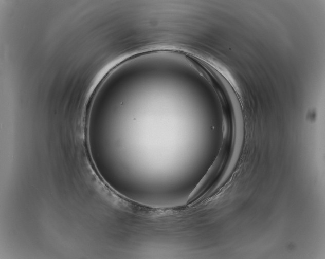 X0000090881148200707271306