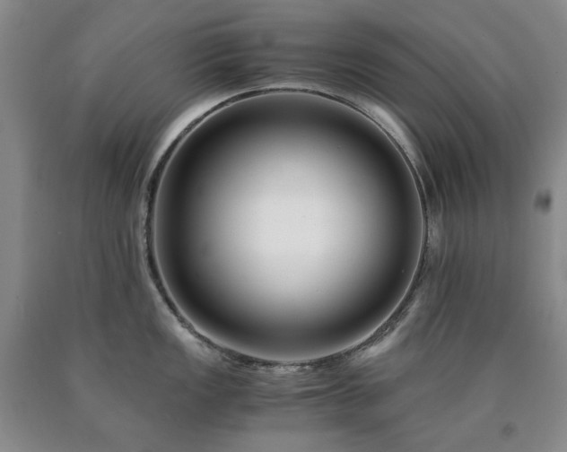X0000090881149200707271306
