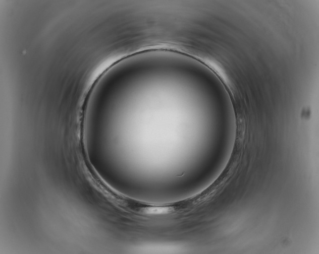 X0000090881151200707271306