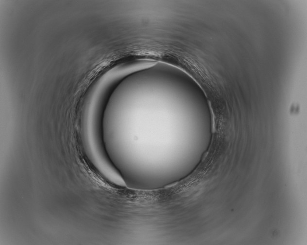X0000090881153200707271305