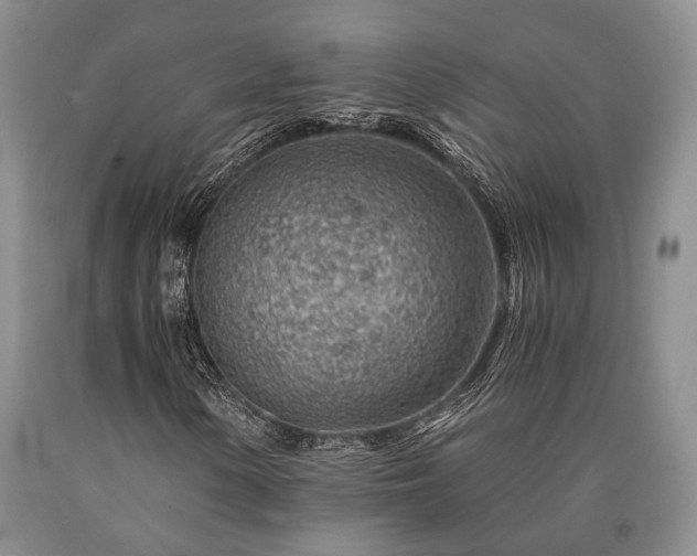 X0000090881154200707271305