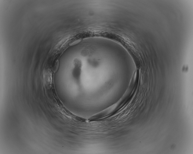 X0000090881155200707271305