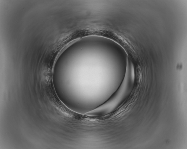 X0000090881156200707271305