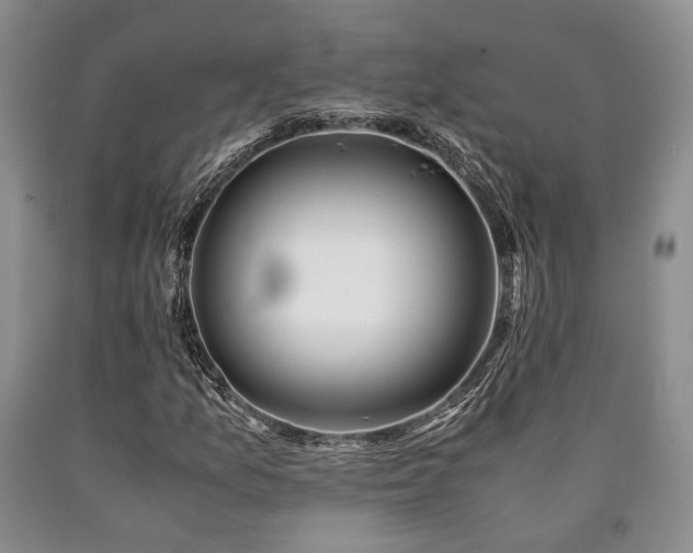 X0000090881157200707271305
