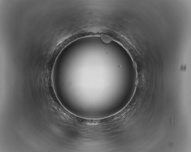 X0000090881158200707271305