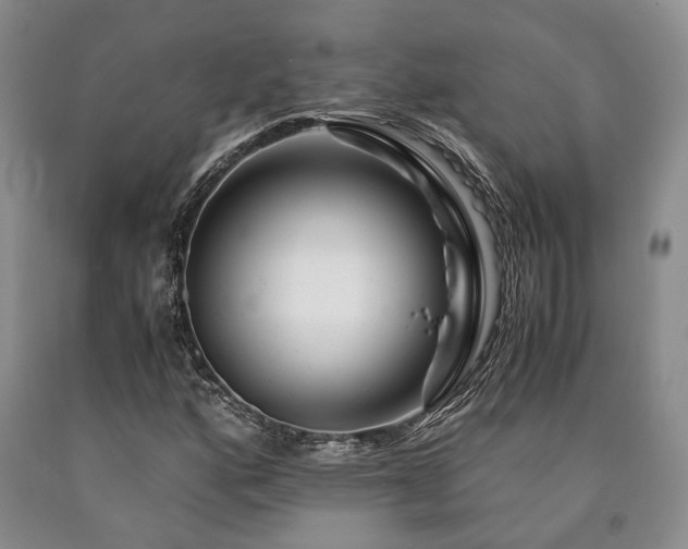 X0000090881160200707271305