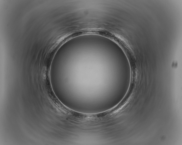 X0000090881161200707271305