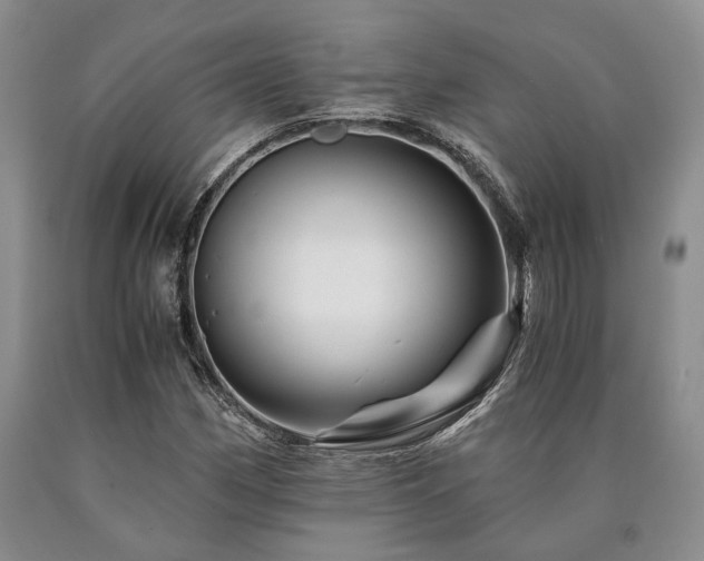 X0000090881162200707271305