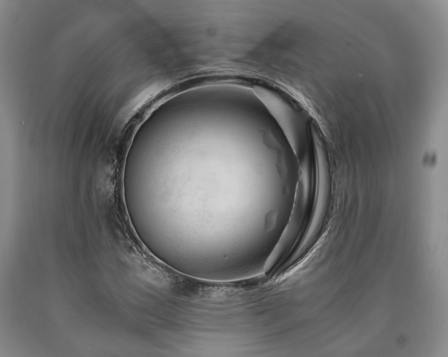 X0000090881163200707271305