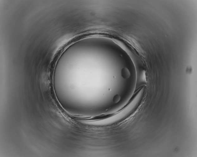 X0000090881164200707271305