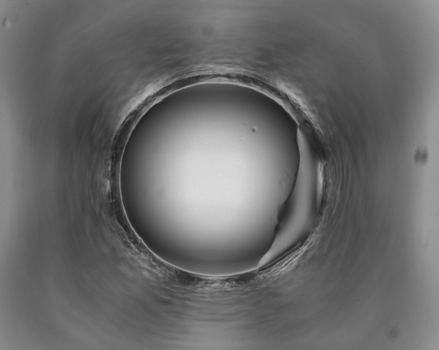X0000090881165200707271305