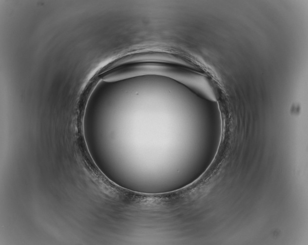 X0000090881166200707271305