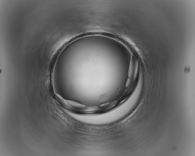 X0000090881167200707271305