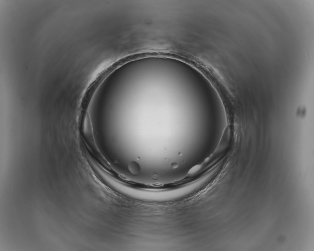 X0000090881168200707271305