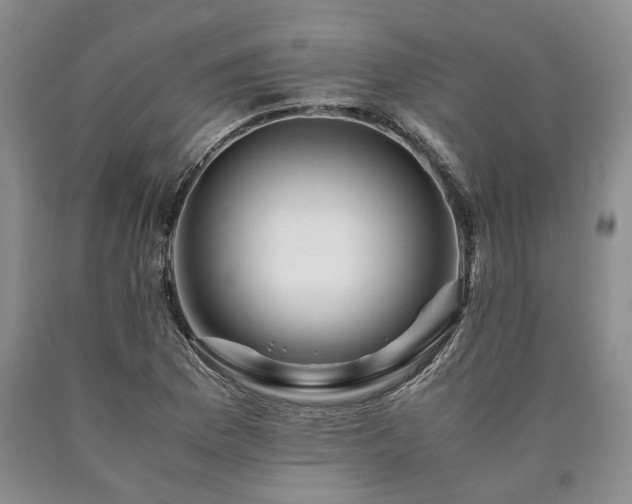 X0000090881169200707271305
