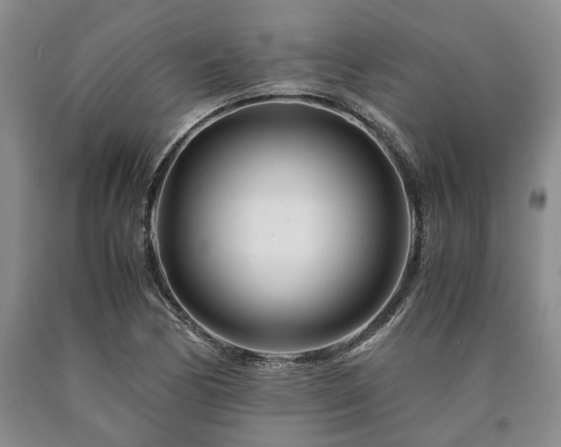 X0000090881170200707271305