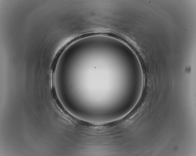 X0000090881171200707271305