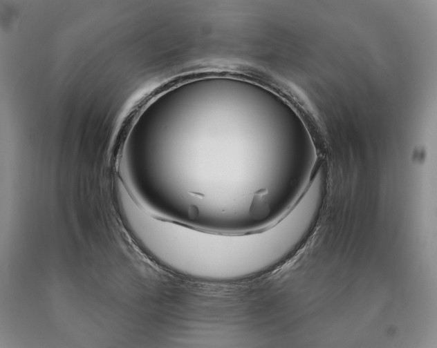 X0000090881172200707271305