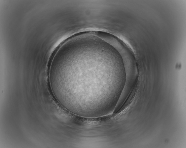 X0000090881173200707271305