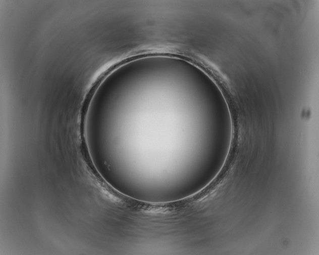 X0000090881174200707271305