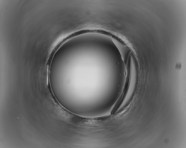X0000090881175200707271305