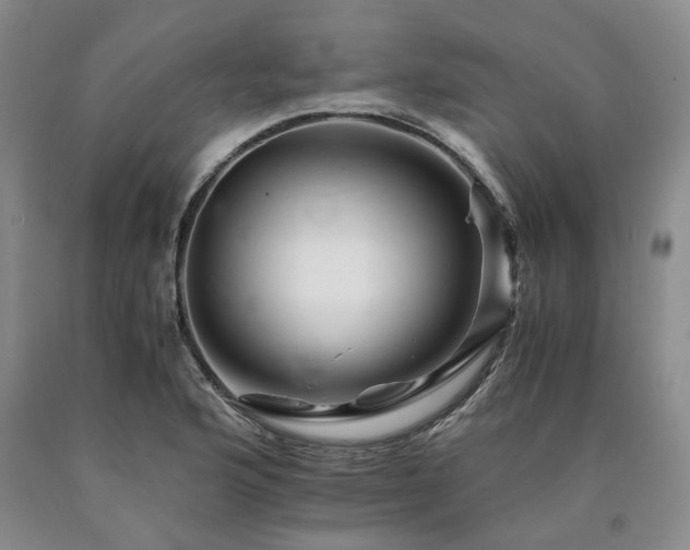 X0000090881176200707271305