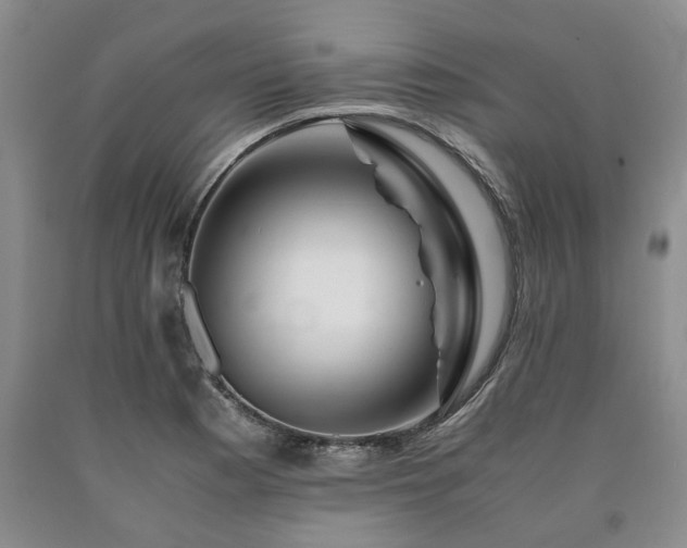 X0000090881177200707271305