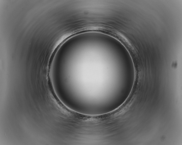 X0000090881178200707271305