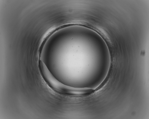 X0000090881180200707271305