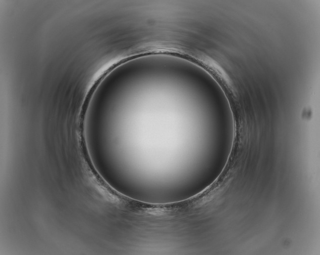 X0000090881182200707271305