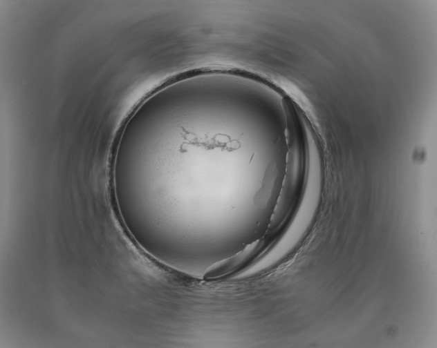 X0000090881183200707271305