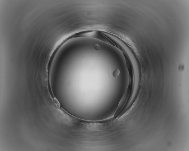 X0000090881184200707271305