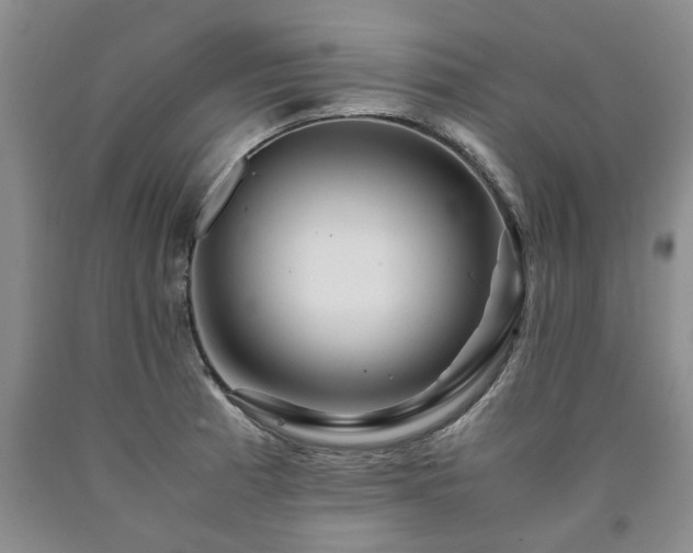 X0000090881185200707271305