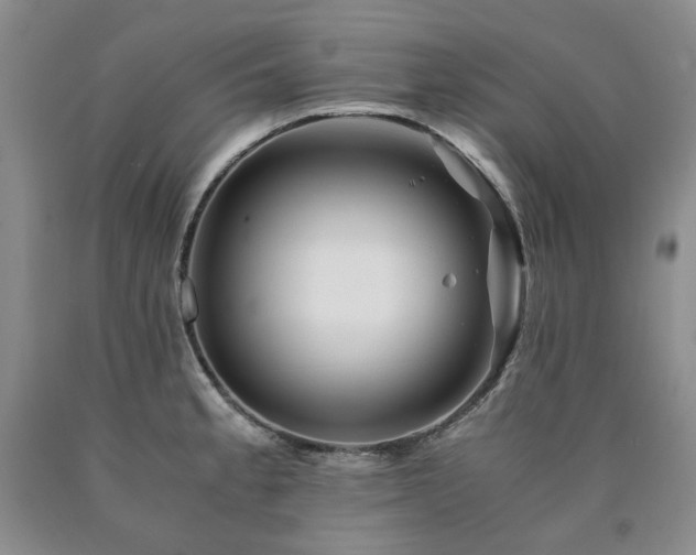 X0000090881189200707271305