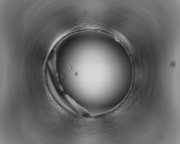 X0000090881190200707271305