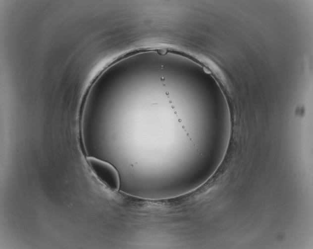X0000090881191200707271305